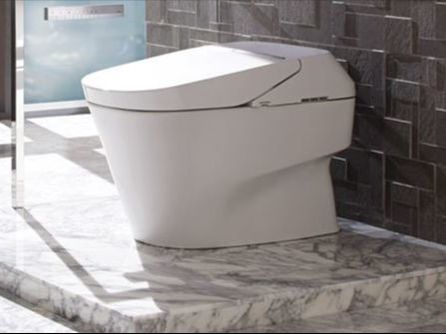 Bathroom remodel: Toto toilets