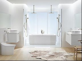 Kitchen and bathroom remodel: Kohler toilets, sinks, faucets, shower systems